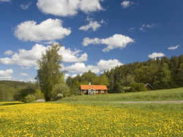 Traumhaftes Ferienhaus in Schweden!
